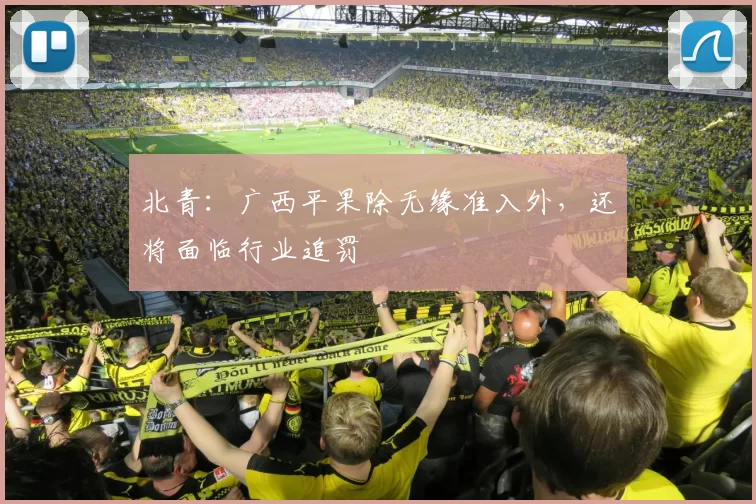 北青：广西平果除无缘准入外，还将面临行业追罚