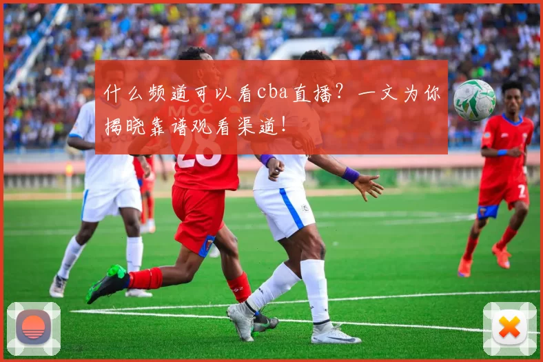 什么频道可以看cba直播？一文为你揭晓靠谱观看渠道！