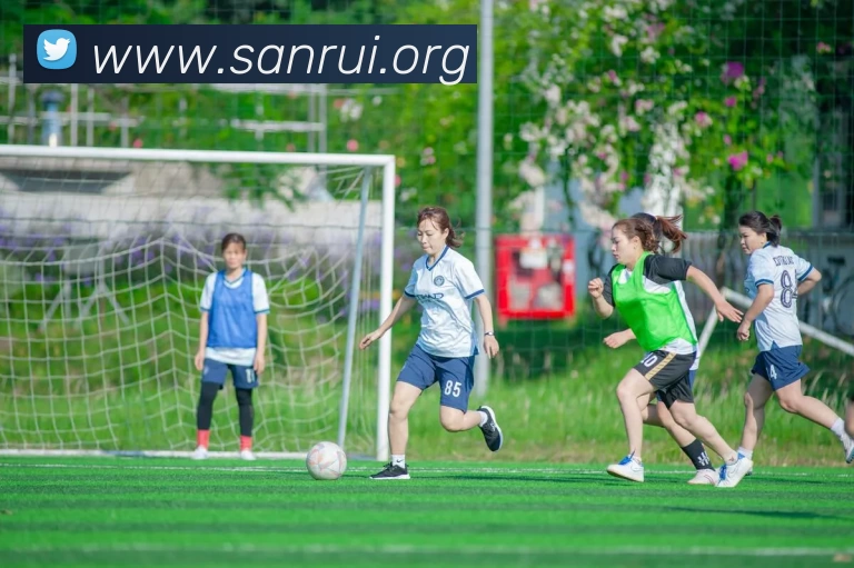 九游体育下载官网服务体系